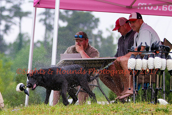 SUPER RETRIEVER SERIES MAY 2018