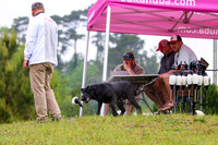 SUPER RETRIEVER SERIES MAY 2018