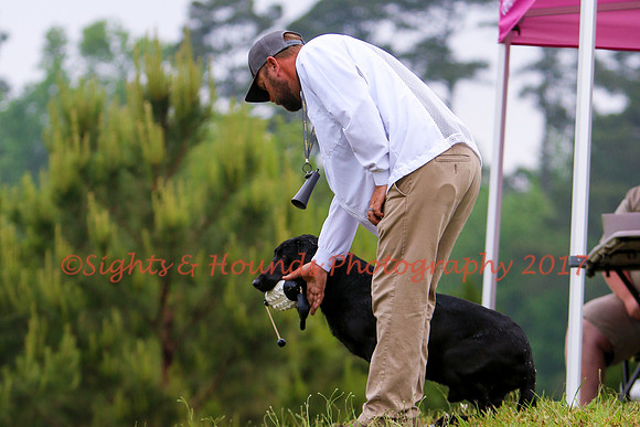 SUPER RETRIEVER SERIES MAY 2018