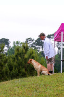 SUPER RETRIEVER SERIES MAY 2018
