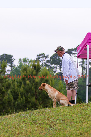 SUPER RETRIEVER SERIES MAY 2018