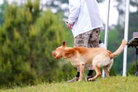 SUPER RETRIEVER SERIES MAY 2018