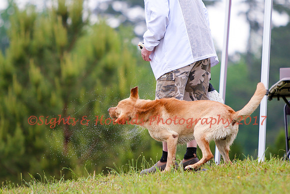SUPER RETRIEVER SERIES MAY 2018