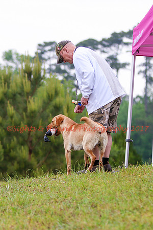 SUPER RETRIEVER SERIES MAY 2018
