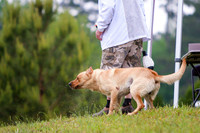 SUPER RETRIEVER SERIES MAY 2018