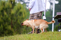 SUPER RETRIEVER SERIES MAY 2018