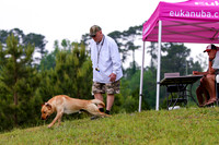 SUPER RETRIEVER SERIES MAY 2018