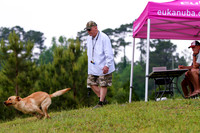 SUPER RETRIEVER SERIES MAY 2018