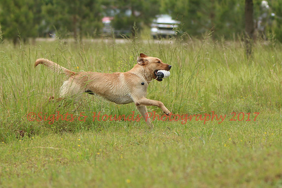 SUPER RETRIEVER SERIES MAY 2018