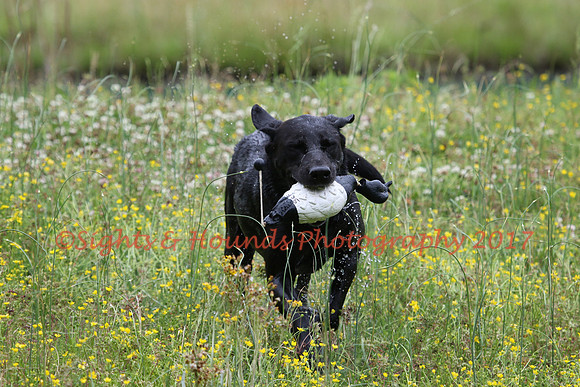 SUPER RETRIEVER SERIES MAY 2018