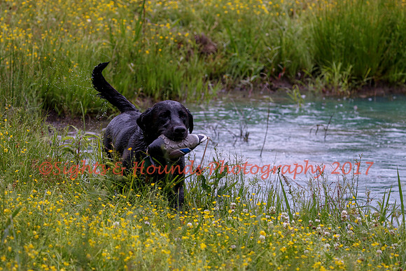 SUPER RETRIEVER SERIES MAY 2018