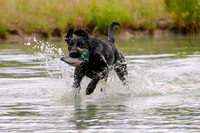SUPER RETRIEVER SERIES MAY 2018