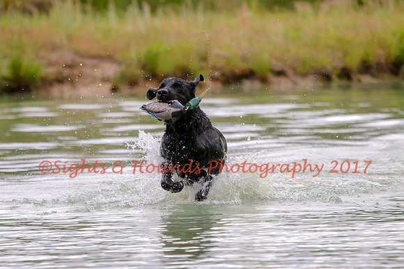 SUPER RETRIEVER SERIES MAY 2018