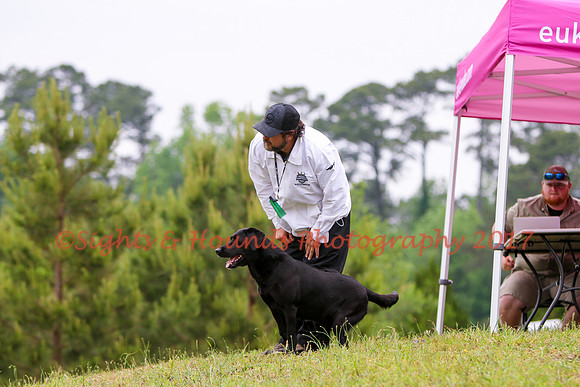 SUPER RETRIEVER SERIES MAY 2018