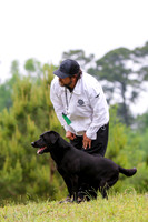 SUPER RETRIEVER SERIES MAY 2018