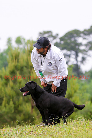 SUPER RETRIEVER SERIES MAY 2018