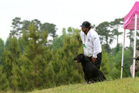 SUPER RETRIEVER SERIES MAY 2018