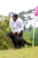 SUPER RETRIEVER SERIES MAY 2018