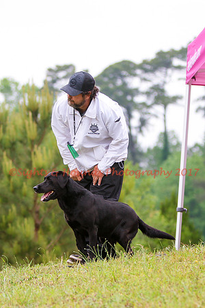 SUPER RETRIEVER SERIES MAY 2018