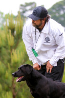 SUPER RETRIEVER SERIES MAY 2018