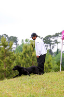 SUPER RETRIEVER SERIES MAY 2018