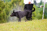 SUPER RETRIEVER SERIES MAY 2018