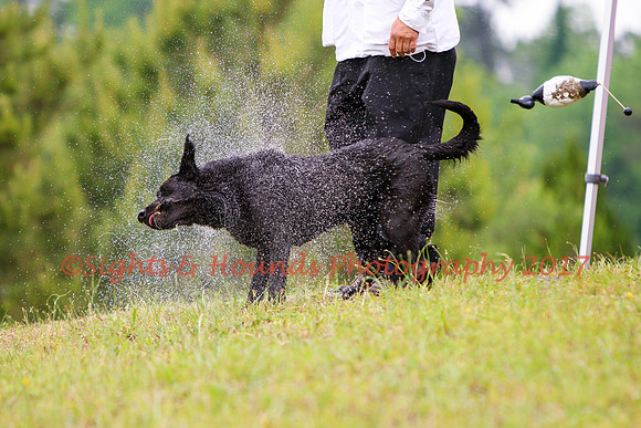 SUPER RETRIEVER SERIES MAY 2018