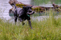 SUPER RETRIEVER SERIES MAY 2018