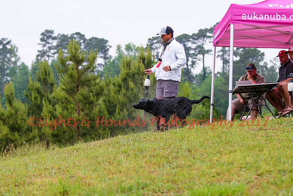 SUPER RETRIEVER SERIES MAY 2018