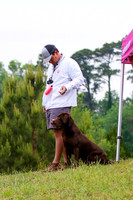 SUPER RETRIEVER SERIES MAY 2018