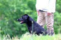 SUPER RETRIEVER SERIES MAY 2018