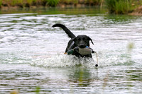 SUPER RETRIEVER SERIES MAY 2018