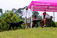 SUPER RETRIEVER SERIES MAY 2018
