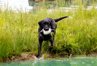 SUPER RETRIEVER SERIES MAY 2018