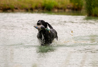 SUPER RETRIEVER SERIES MAY 2018