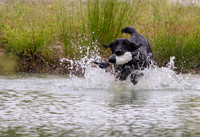 SUPER RETRIEVER SERIES MAY 2018