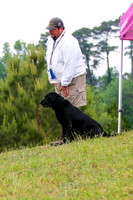 SUPER RETRIEVER SERIES MAY 2018