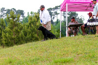 SUPER RETRIEVER SERIES MAY 2018