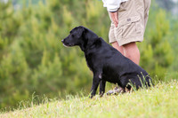 SUPER RETRIEVER SERIES MAY 2018
