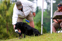 SUPER RETRIEVER SERIES MAY 2018