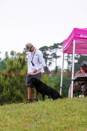 SUPER RETRIEVER SERIES MAY 2018