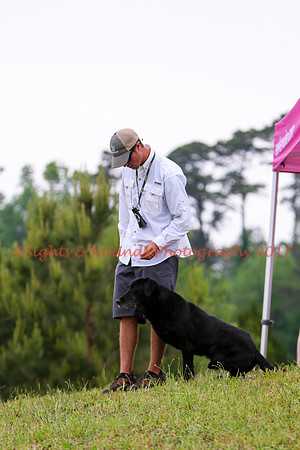 SUPER RETRIEVER SERIES MAY 2018