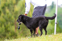 SUPER RETRIEVER SERIES MAY 2018