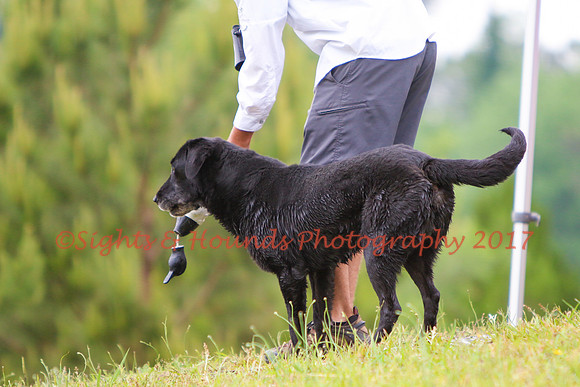 SUPER RETRIEVER SERIES MAY 2018