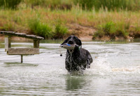SUPER RETRIEVER SERIES MAY 2018