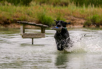 SUPER RETRIEVER SERIES MAY 2018
