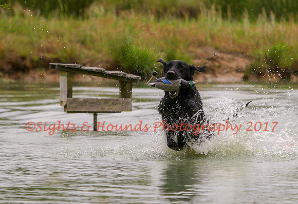 SUPER RETRIEVER SERIES MAY 2018