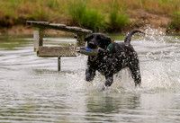 SUPER RETRIEVER SERIES MAY 2018
