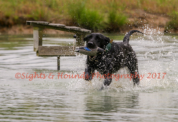 SUPER RETRIEVER SERIES MAY 2018