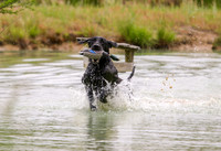 SUPER RETRIEVER SERIES MAY 2018